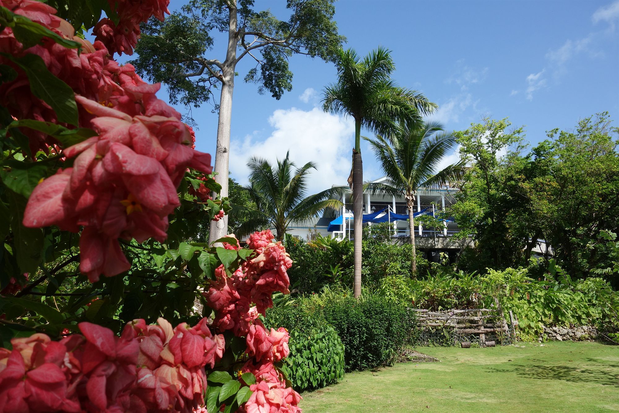 Hotel Mockingbird Hill Port Antonio Exterior foto